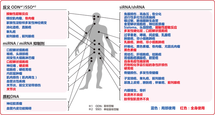 AteloGene® siRNA活体转染试剂盒