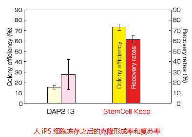 无DMSO干细胞冻存液