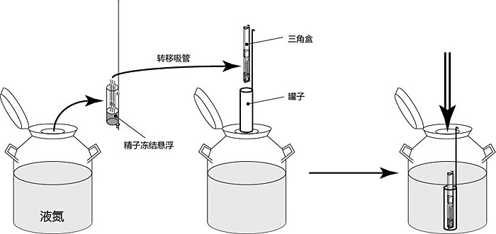 FERTIUP® 和CARD MEDIUM® 配件