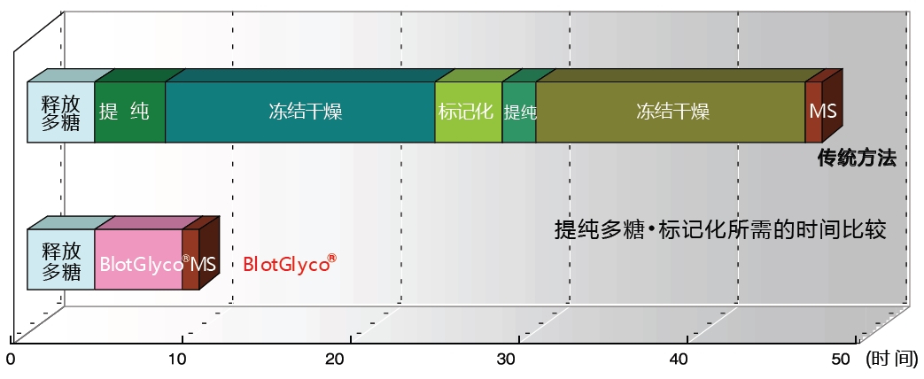 BlotGlyco® 糖链纯化试剂盒