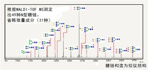 BlotGlyco® 糖链纯化试剂盒