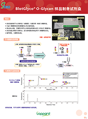 BlotGlyco® 糖链纯化试剂盒