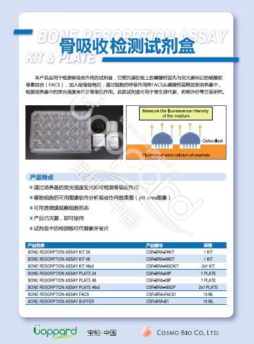 骨吸收检测试剂盒