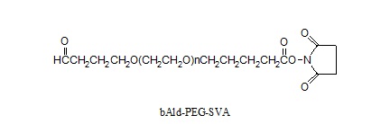 Laysan 丁醛-PEG-琥珀酰亚胺戊酸酯 ButyrAldehyde-PEG-SVA (bALD-PEG-SVA)