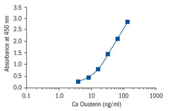 Clusterin Canine Elisa, 犬凝聚素Elisa|Biovendor|上海金畔生物科技有限公司