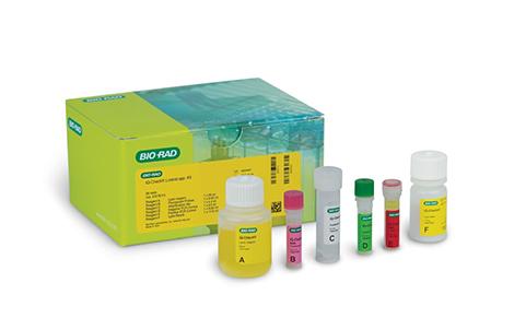 iQ-Check E. coli O157:H7 PCR Detection Kit  | Bio-Rad Laboratories