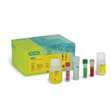 iQ-Check E. coli O157:H7 PCR Detection Kit  | Bio-Rad Laboratories