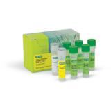 1-Step Quantitative Reverse Transcription PCR (RT-qPCR) from RNA | Bio-Rad Laboratories