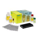 Bio-Plex Multiplex SARS-CoV-2 Serology Assay Kits and Reagents | Bio-Rad Laboratories