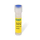 Bio-Plex Multiplex SARS-CoV-2 Serology Assay Kits and Reagents | Bio-Rad Laboratories