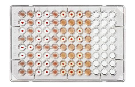 DiaMed-MP 测试 A、B、DVI-、DVI+、Ctl/A1、A2、B、O | Bio-Rad Laboratories