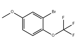 3-溴-4-三氟甲氧基苯甲醚 ,CAS: 1049730-91-7