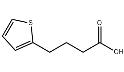 4-（2-噻嗯基）丁酸,CAS:4653-11-6