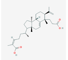 南五味子酸，kadsuric acid，cas62393-88-8