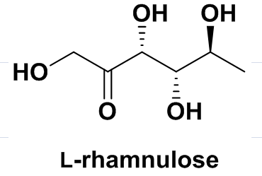 L-Rhamnulose，cas14807-05-7 ,10030-85-0, 6155-35-7