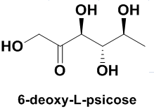 6-deoxy-L-psicose