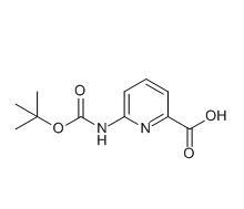 6-叔丁氧羰基氨基吡啶-2-羧酸|cas258497-21-1