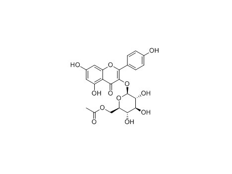 6&#039;&#039;-O-Acetylastragalin|cas: 118169-27-0