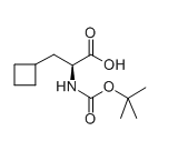 BOC-L-环丁基丙氨酸,CAS:478183-60-7