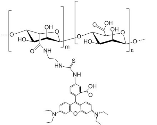 Rhodamine-Alginate;RB-Alginate;罗丹明标记海藻酸钠