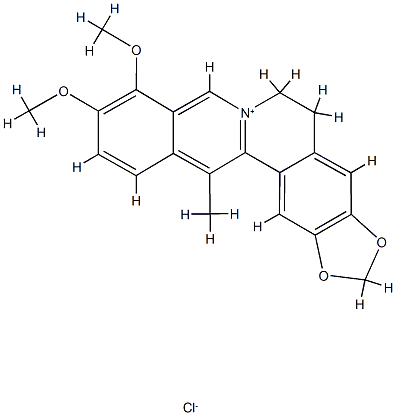 13-甲基小檗碱,CAS:54260-72-9