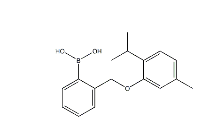 2-[(2-异丙基-5-甲基苯氧基)甲基]苯硼酸 cas：1072951-87-1