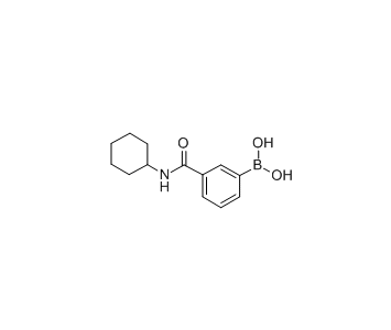 3-(环己基甲酰氨)苯基硼酸 cas：850567-25-8