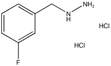 [(3-fluorophenyl)methyl]hydrazine dihydrochloride,cas:1000805-94-6