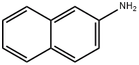 2-萘胺,CAS:91-59-8