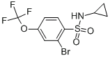 Benzenesulfonamide,2-bromo-N-cyclopropyl-4-(trifluoromethoxy)-,cas:957062-79-2