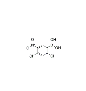 2,4-二氯-5-硝基苯硼酸 cas：1072952-12-5