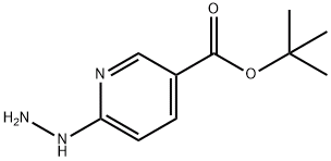 6-肼基烟酸叔丁酯,CAS:163213-19-2