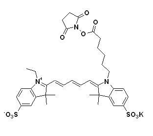 Cy5-NHS酯,cas:146368-14-1,Cy5-NHS ester