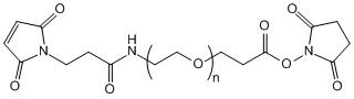 马来酰亚胺基-聚乙二醇-丙酸琥珀酰亚胺酯Mal-NH-PEG-SPA