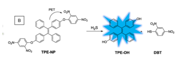 TPE-NP纳米粒子