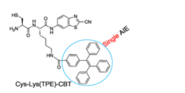 一种AIE探针Cys-Lys(TPE)-CBT