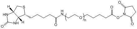 生物素-聚乙二醇-琥珀酰亚胺戊酸酯Biotin-PEG-SVA