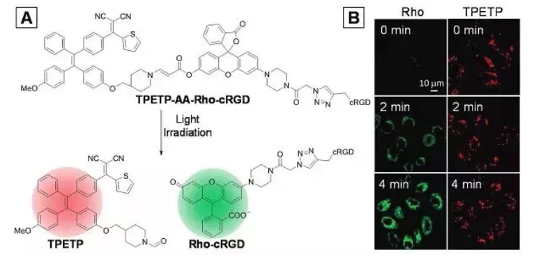 TPETP-AA-Rho-cRGD聚集诱导发光材料发光探针