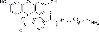 氨基-聚乙二醇-荧光素FITC-PEG-NH2