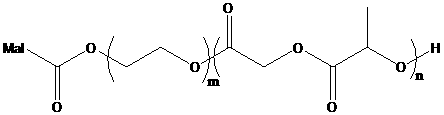 PLGA-PEG-MAL 聚乳酸羟基乙酸共聚物-聚乙二醇-马来酰亚胺