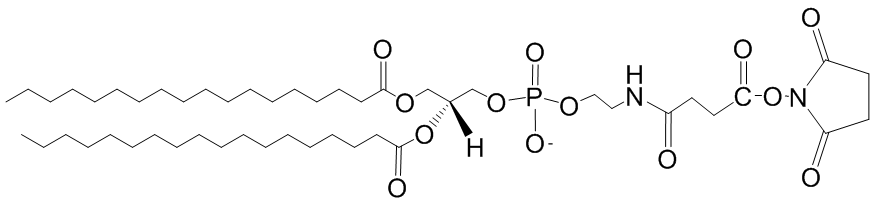 DSPE-NHS 二硬脂酰磷脂酰乙醇胺改性琥珀酰亚胺酯