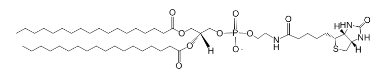 DSPE-Biotin 二硬脂酰磷脂酰乙醇胺改性生物素