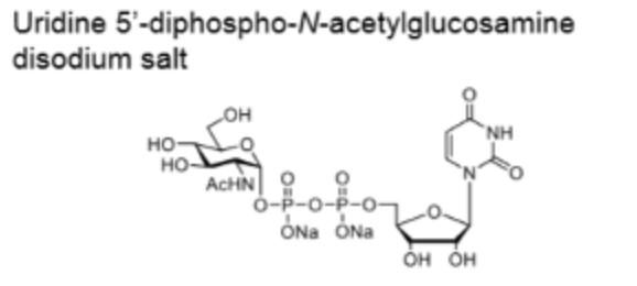 UDP-GlcNAc;CAS:91183-98-1;尿苷5&#039;-二磷酸-N-乙酰基亚氨基二钠盐