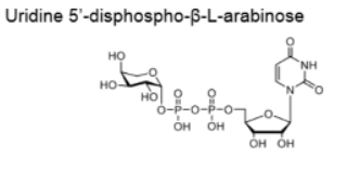 UDP-B-L-Ara;尿苷5&#039;二磷酸-B-L-阿拉伯糖二钠盐