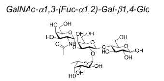 Blood Group Type V A-tigen;CAS:59957-92-5;血型A型四糖VI型