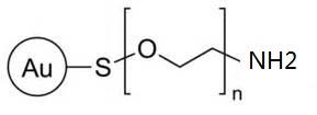 Gold Noparticles,Au-PEG-NH2 表面氨基修饰的聚乙二醇功能化纳米金粒子