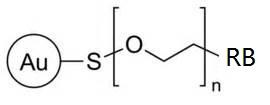 Gold Noparticles,Au-PEG-RB 末端罗丹明B修饰的聚乙二醇功能化纳米金粒子