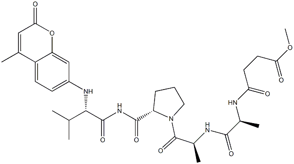 N-甲氧琥珀酰基-丙氨酰-丙氨酰-脯氨酰-缬氨酸-7-氨基-4-甲基香豆素cas:72252-90-5