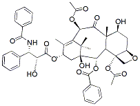 Paclitaxel CAS:33069-62-4