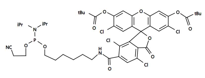 6-TET phosphoramidite|6-四氯荧光素磷酰胺|CAS877049-90-6